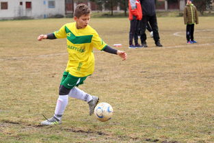 开云体育登录-葡萄牙轻取丹麦，阿尔巴爆发神勇