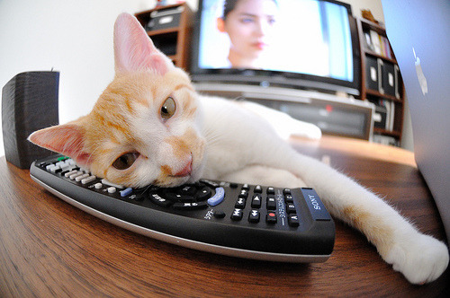 开云体育平台APP-杜兰特致命一击！独行侠逆转公牛背后，老将的智慧与新时代的碰撞