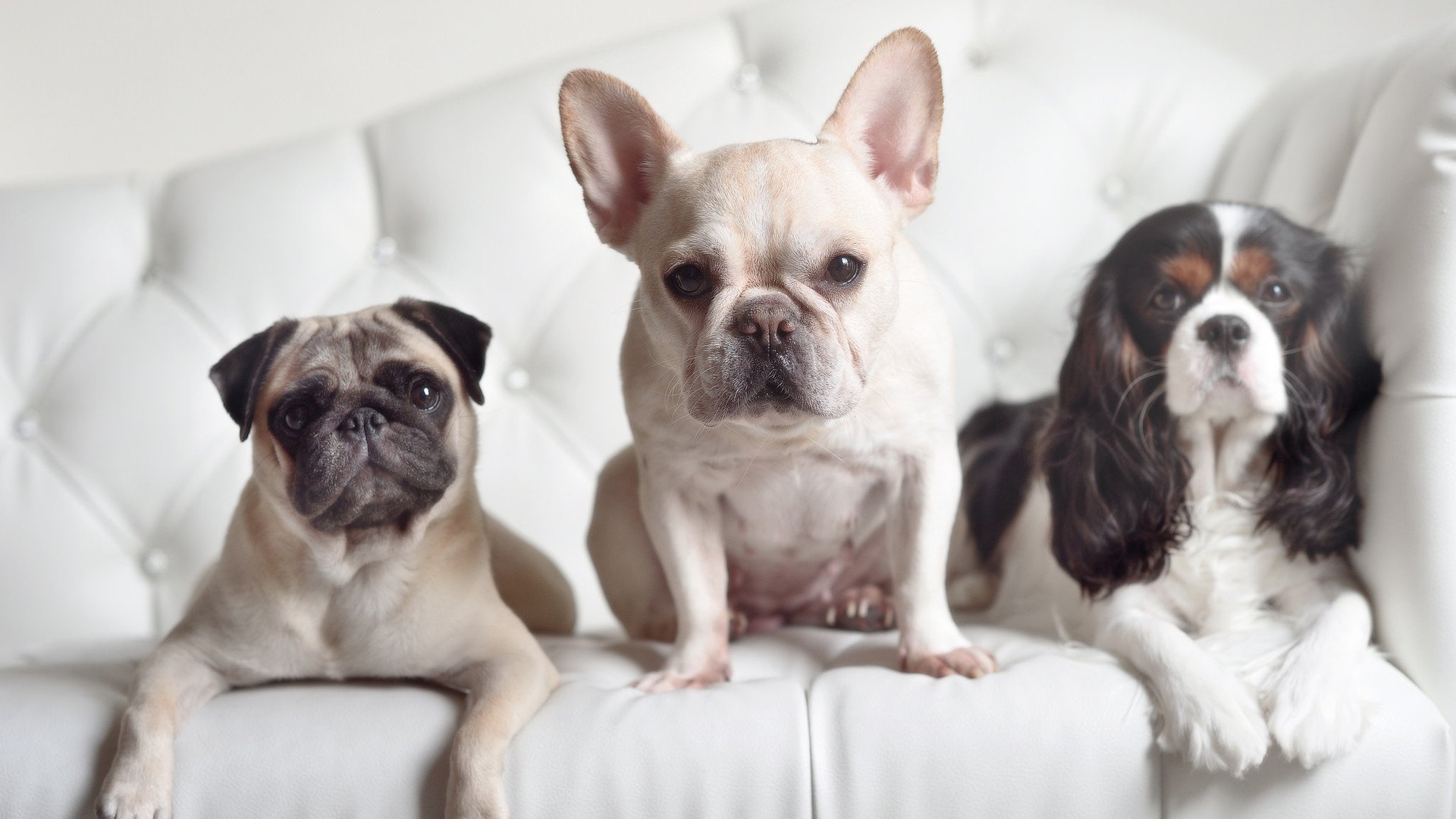 开云体育中国-西班牙巅峰对决胜出罗马，穆勒F1新赛季揭幕战接管比赛—体育双星闪耀全球