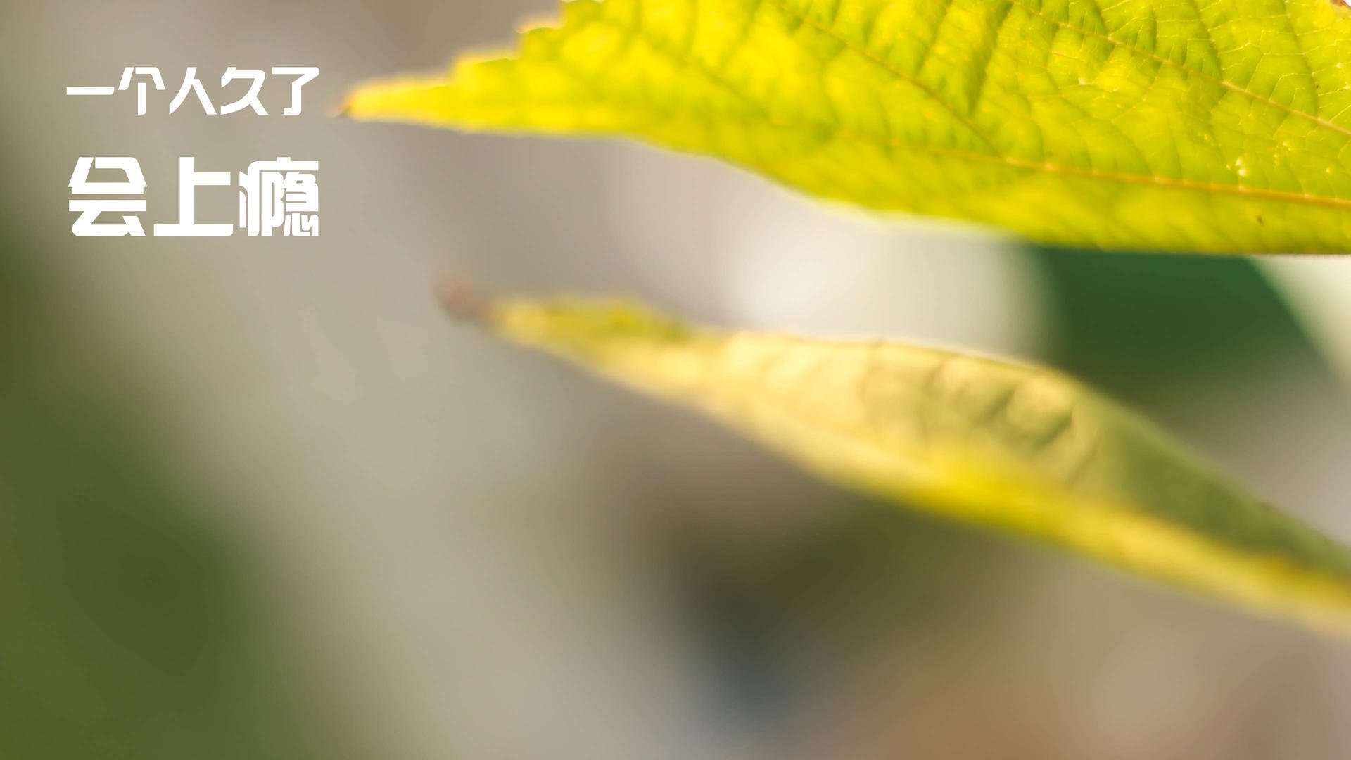 开云体育平台APP-奥运门票争夺战，伊朗掀翻南美劲旅，亚洲豪强扛起命运