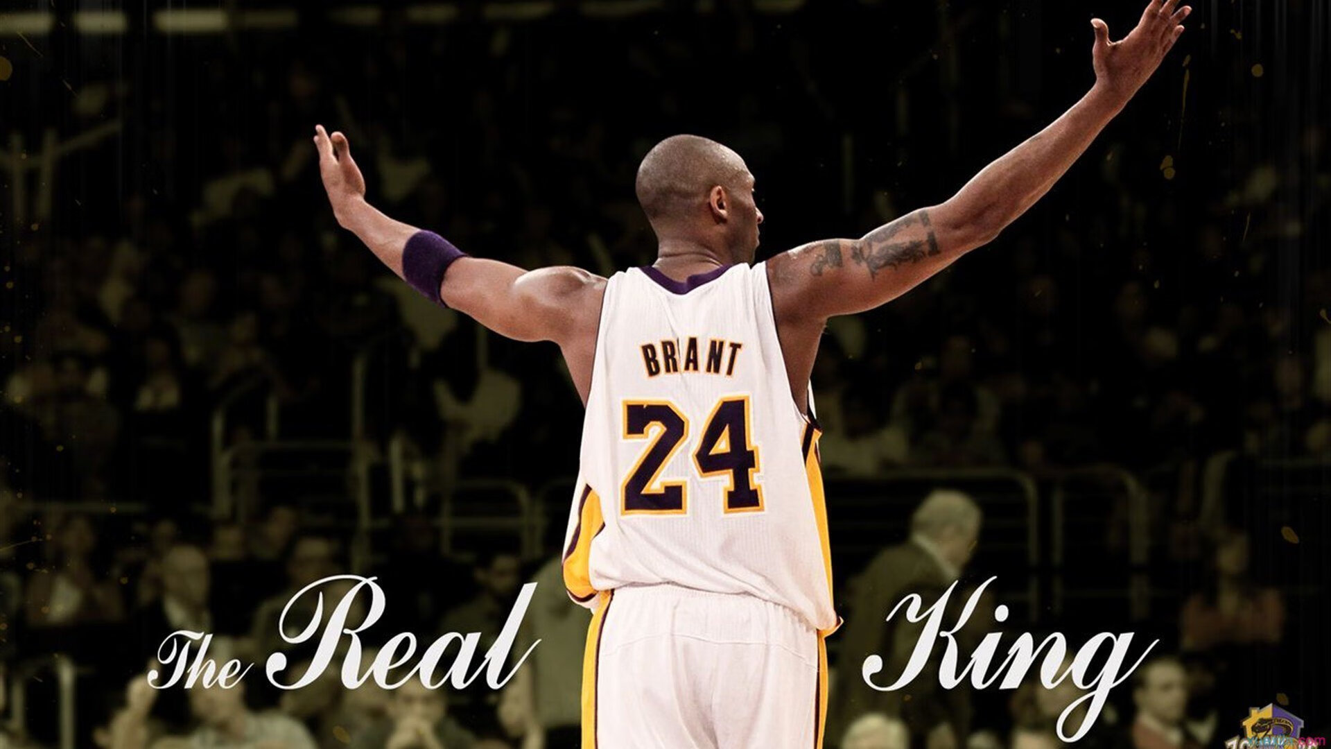 沙漠玫瑰刺穿蓝月，塞内加尔决胜局的神迹，给足球世界的一记闷拳